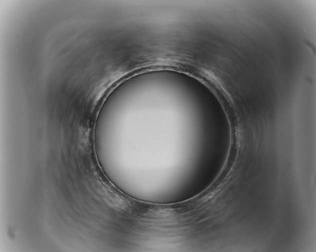 X0000102311260200808011554