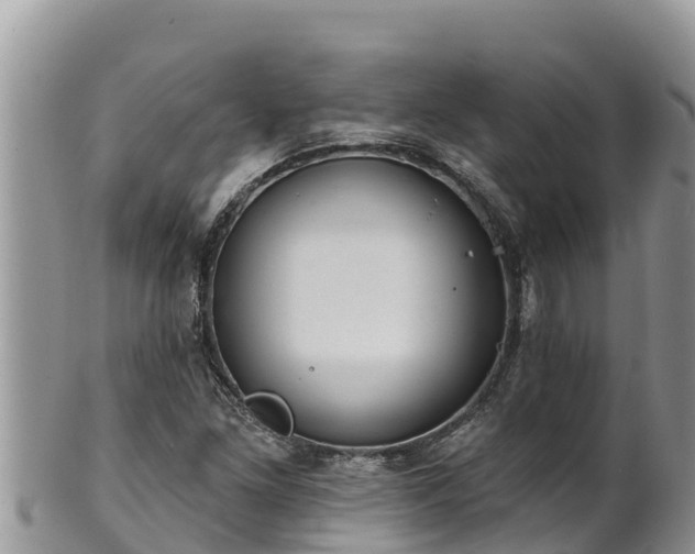 X0000102311261200808011554