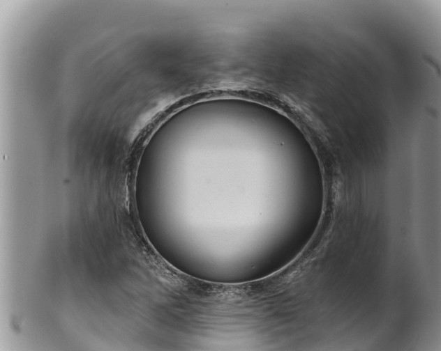 X0000102311262200808011554