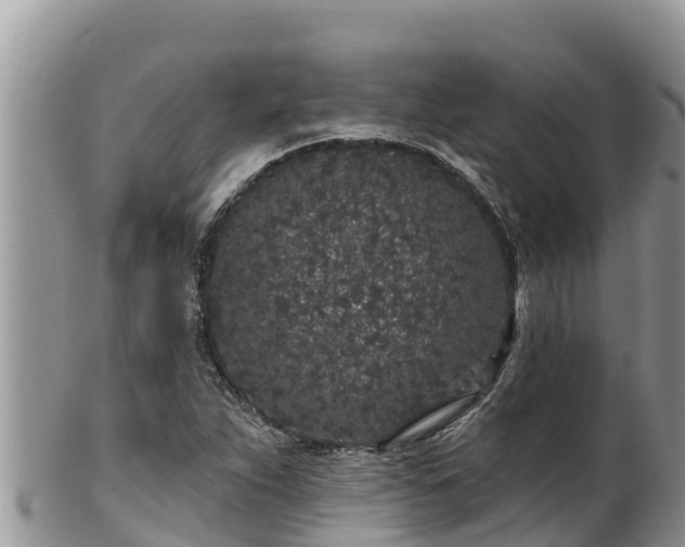 X0000102311263200808011554