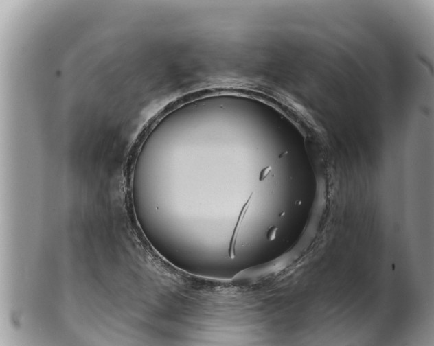 X0000102311264200808011554