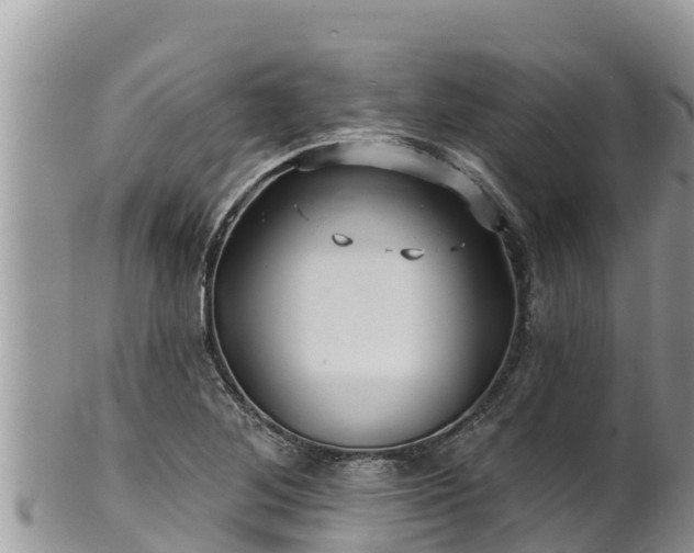 X0000102311268200808011554