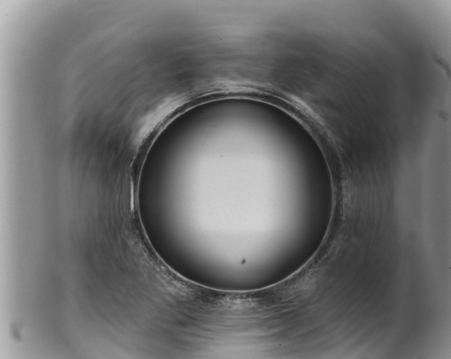 X0000102311269200808011554