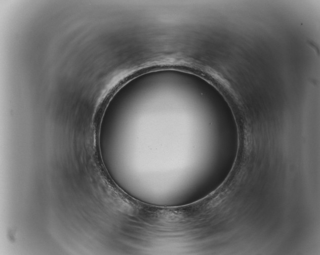 X0000102311270200808011554