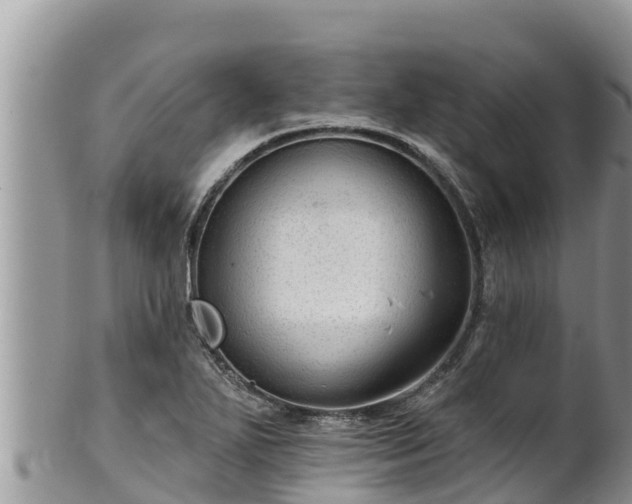 X0000102311271200808011554