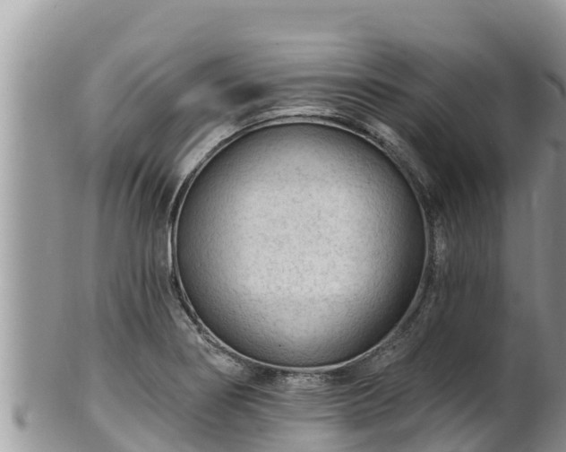 X0000102311274200808011554