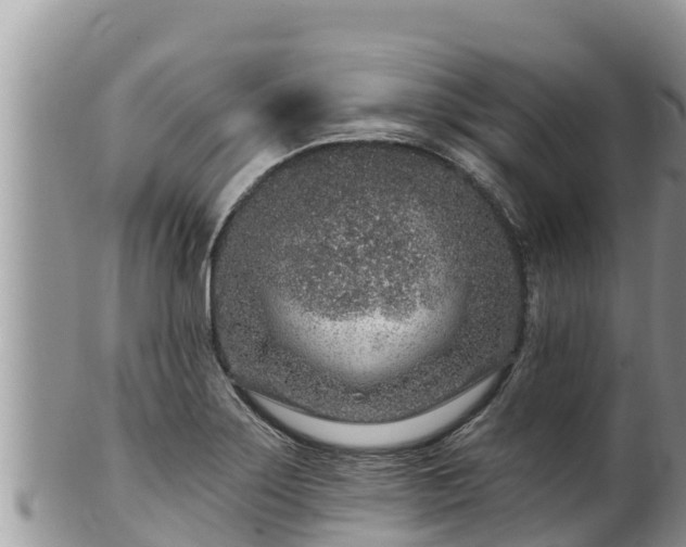 X0000102311275200808011554