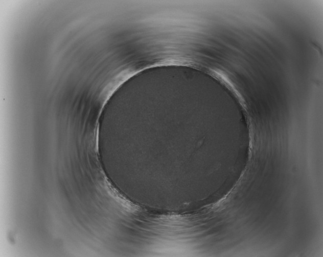 X0000102311276200808011554