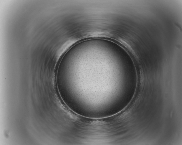 X0000102311277200808011554