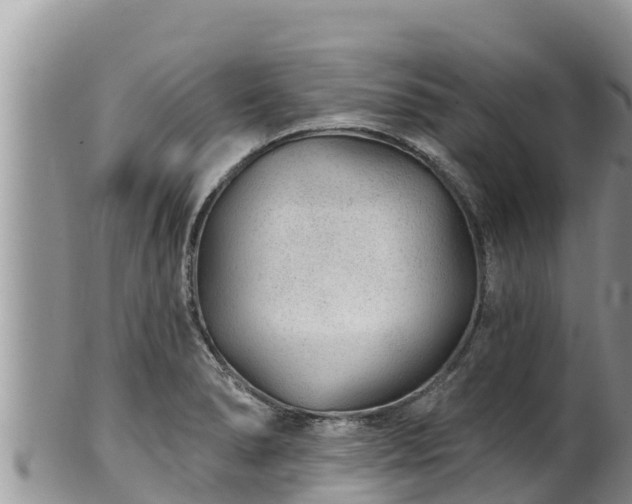 X0000102311278200808011554