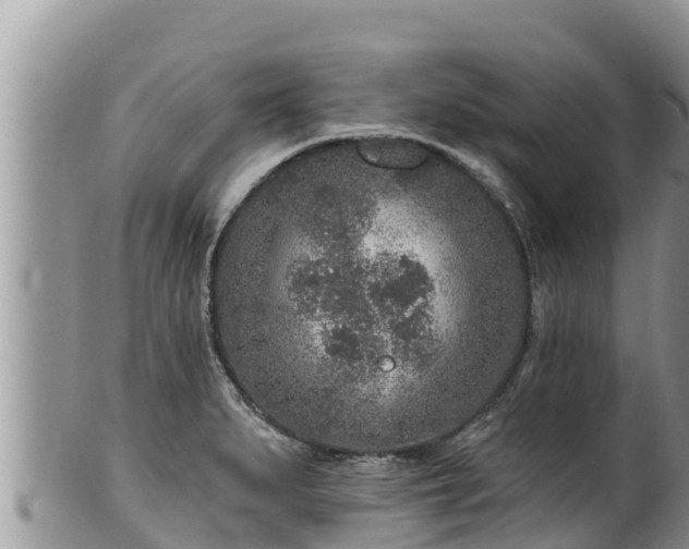 X0000102311279200808011554