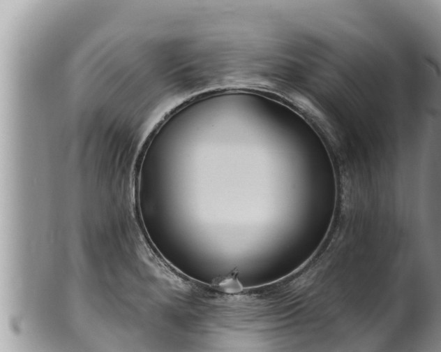 X0000102311280200808011554