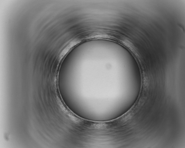 X0000102311282200808011554