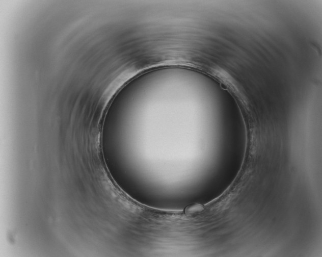 X0000102311284200808011554