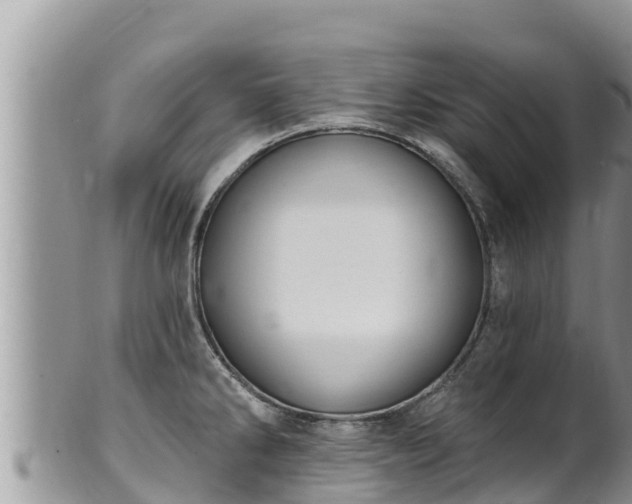 X0000102311286200808011554