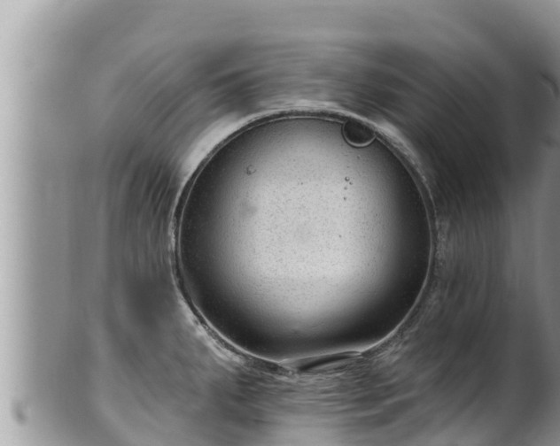 X0000102311287200808011554