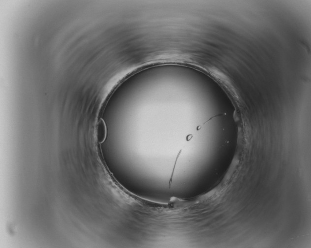 X0000102311288200808011554