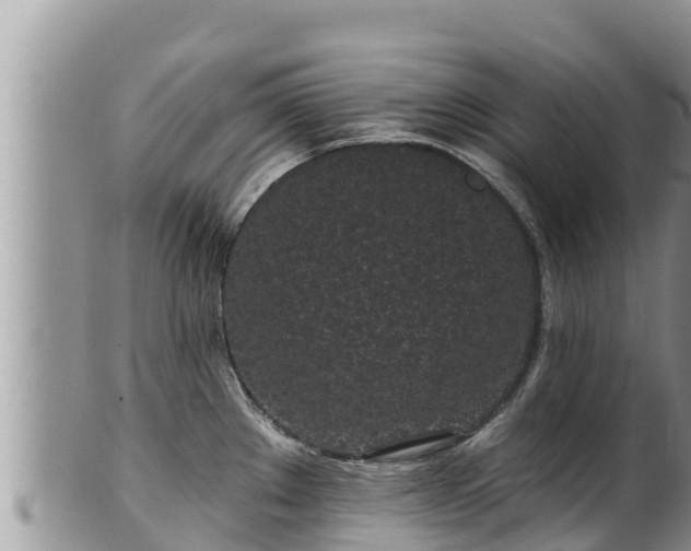 X0000102311289200808011554