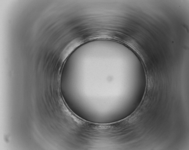 X0000102311290200808011554