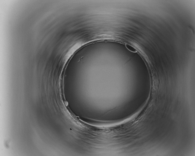 X0000102311291200808011554