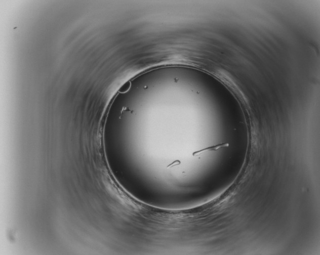 X0000102311292200808011554