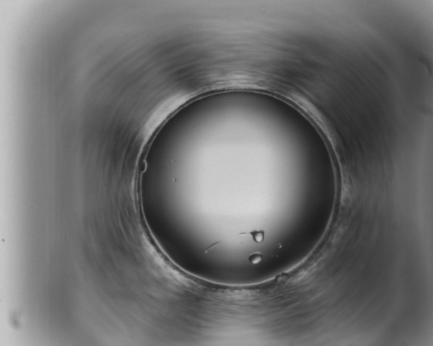 X0000102311293200808011554