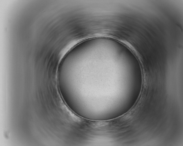 X0000102311294200808011554