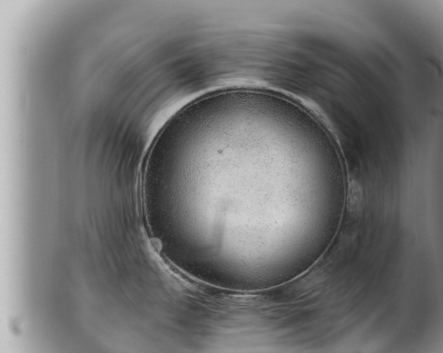 X0000102311295200808011554