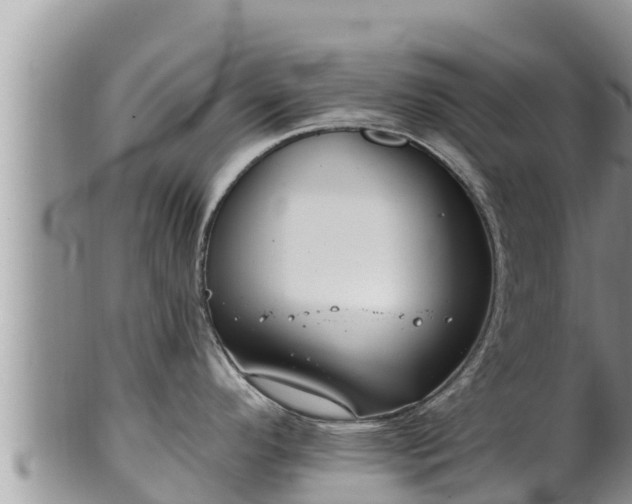 X0000102311296200808011554