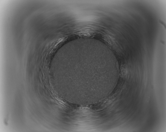 X0000102311297200808011553