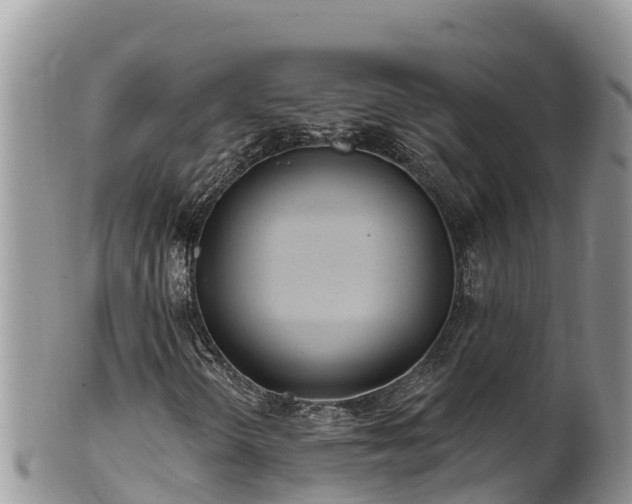 X0000102311298200808011553