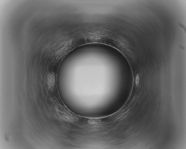 X0000102311299200808011553