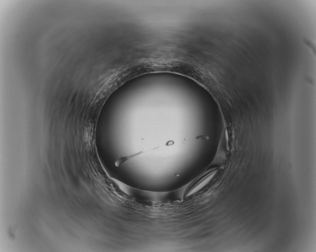 X0000102311300200808011553