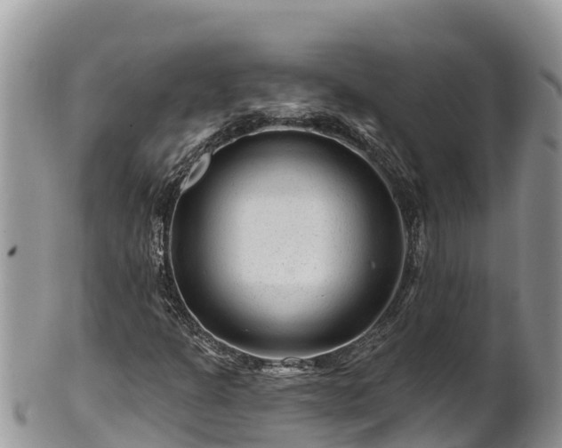 X0000102311301200808011553