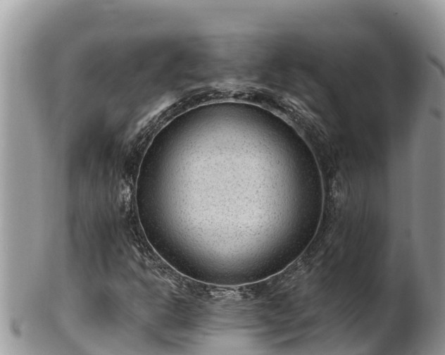 X0000102311302200808011553