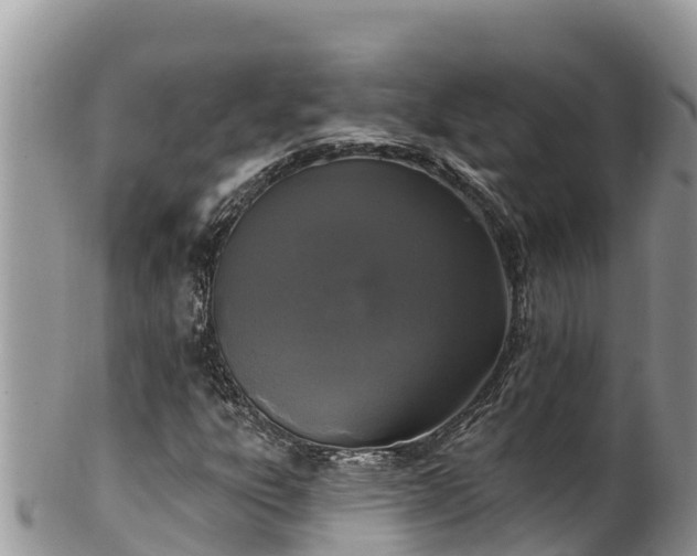 X0000102311303200808011553