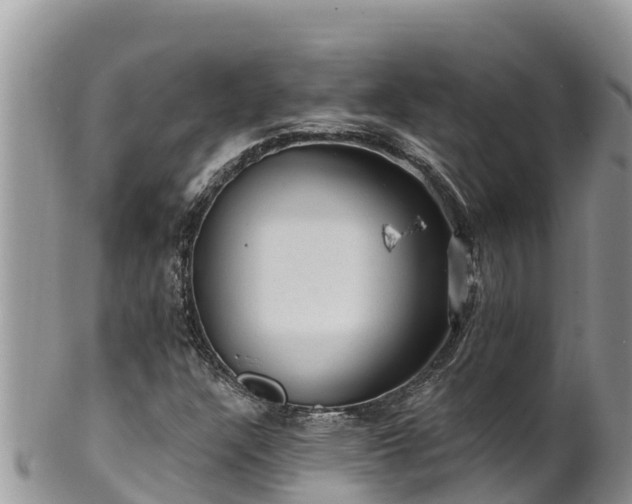 X0000102311304200808011553