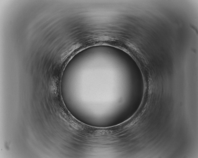 X0000102311305200808011553