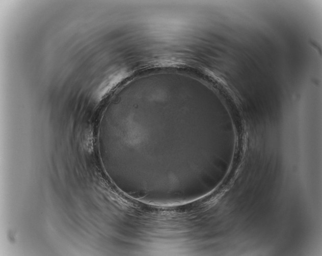 X0000102311306200808011553