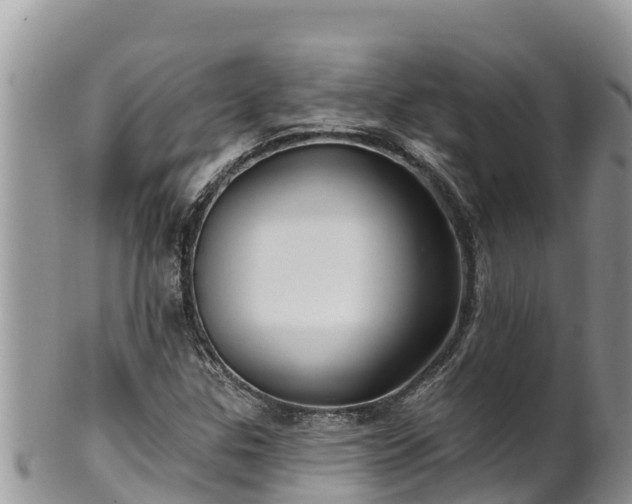 X0000102311307200808011553