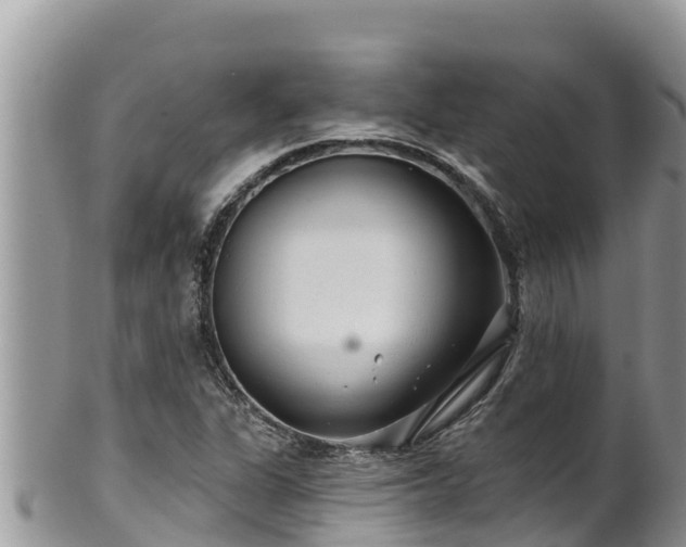 X0000102311311200808011553