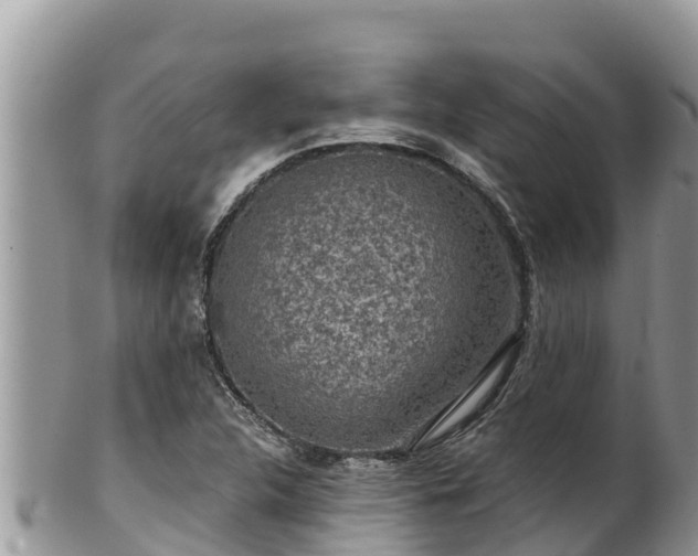 X0000102311312200808011553