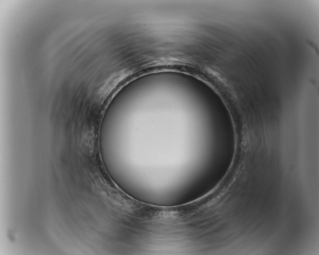 X0000102311313200808011553