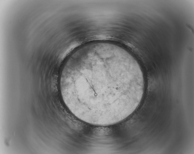 X0000102311314200808011553