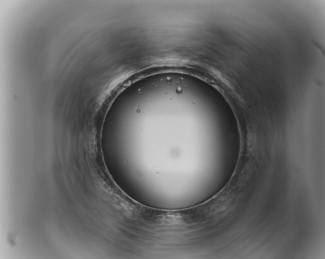 X0000102311315200808011553