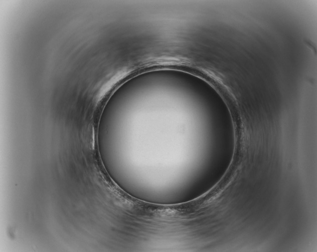 X0000102311317200808011553