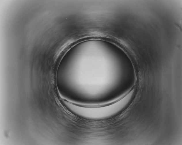 X0000102311318200808011553