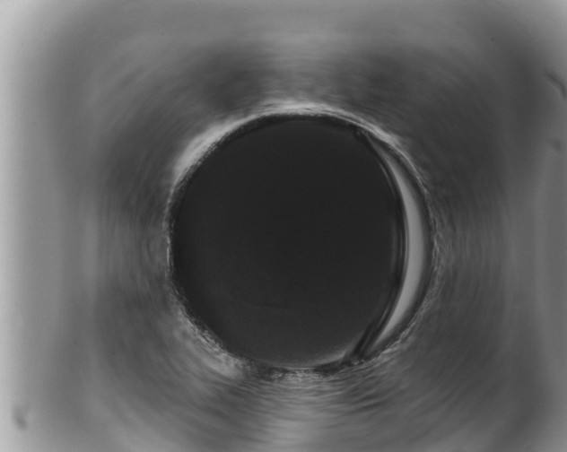 X0000102311319200808011553