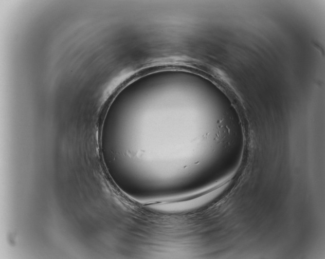 X0000102311320200808011553