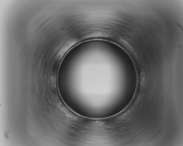 X0000102311321200808011553